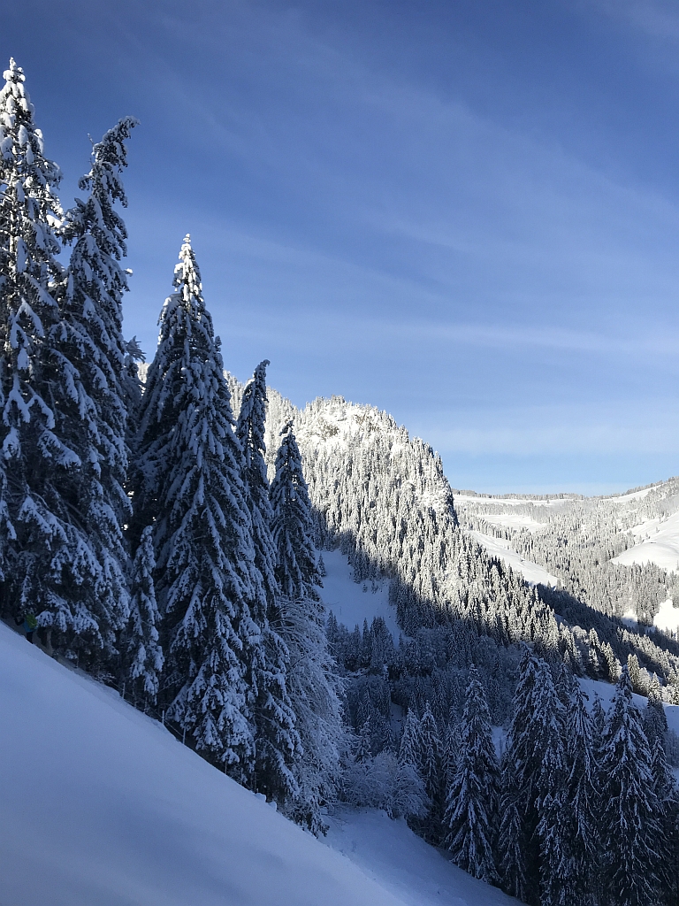 02_16. Jan 21_SAC Schneeschuhtour Schwarzsee (105).jpg